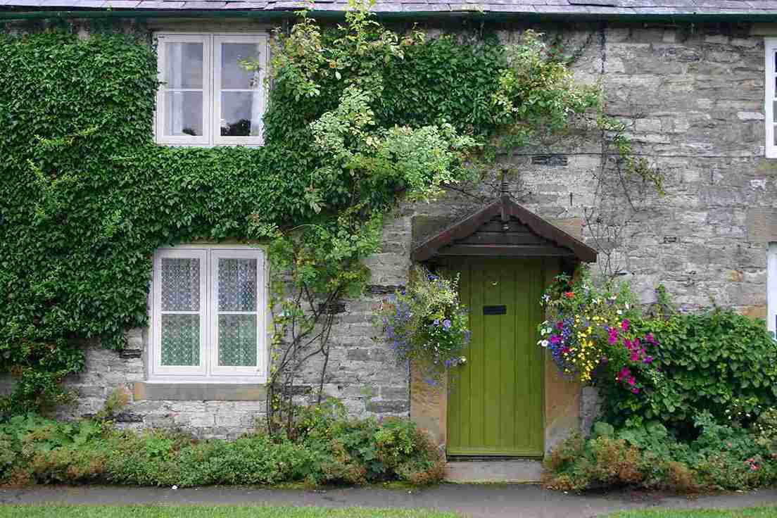 sash windows in Basingstoke cottage with green door and green plant