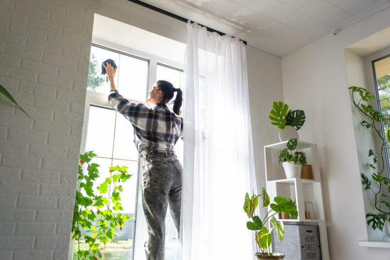 how to clean windows - woman on ladder cleaning